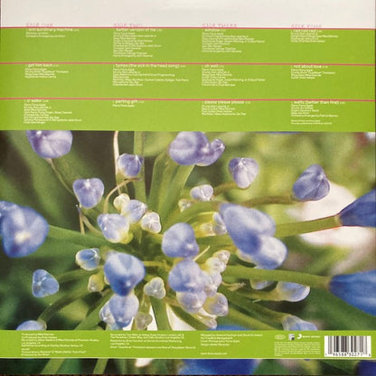 Fiona Apple - Extraordinary Machine back cover - Awesomesince84